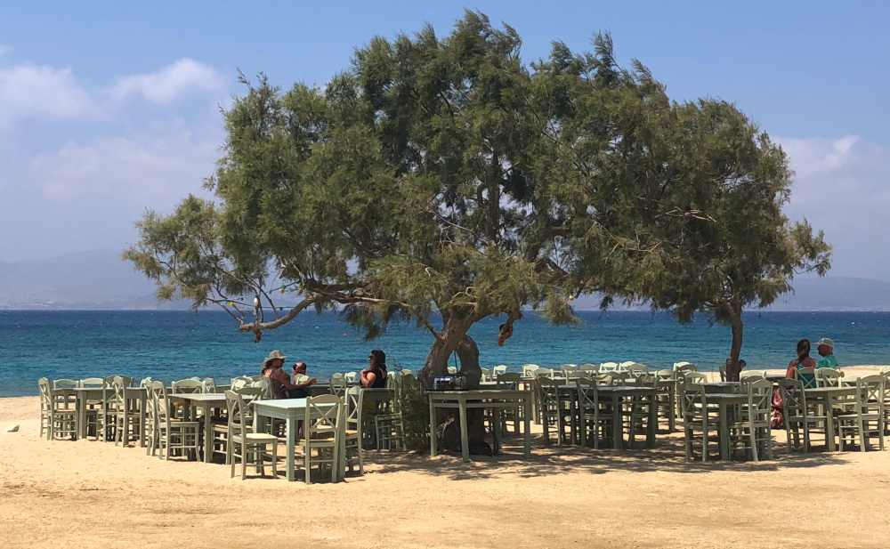 Naxos Greece: Travel Guide 2023 9 Plaka beach cafe under a big tree, Naxos, Greece